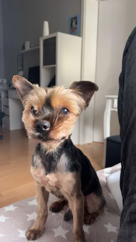 Diego, Düsseldorf