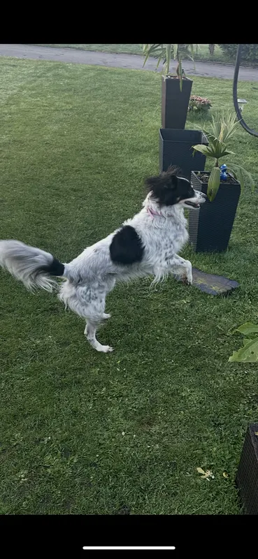 Emma, Erkrath