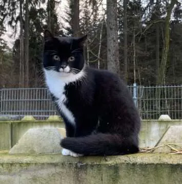 Spooky, Schneverdingen