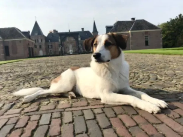 Sheila, Nottuln