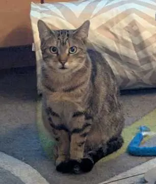 Loki, St. Wendel