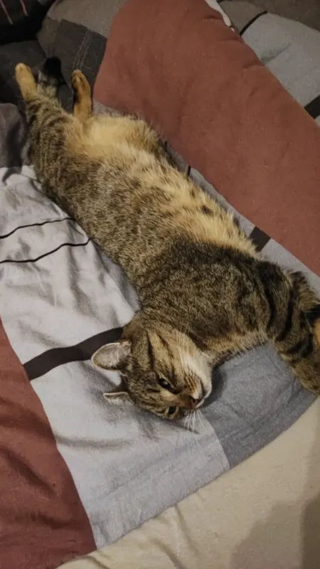 Freya, Unterschleißheim
