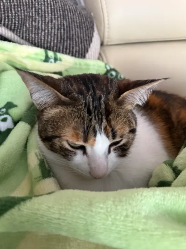 Cleo, Unterschleißheim