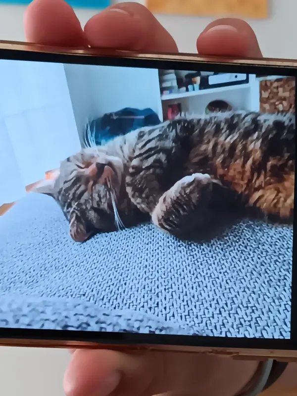 Beny, Oyten