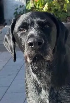 Berti Kuno, Kochel a. See