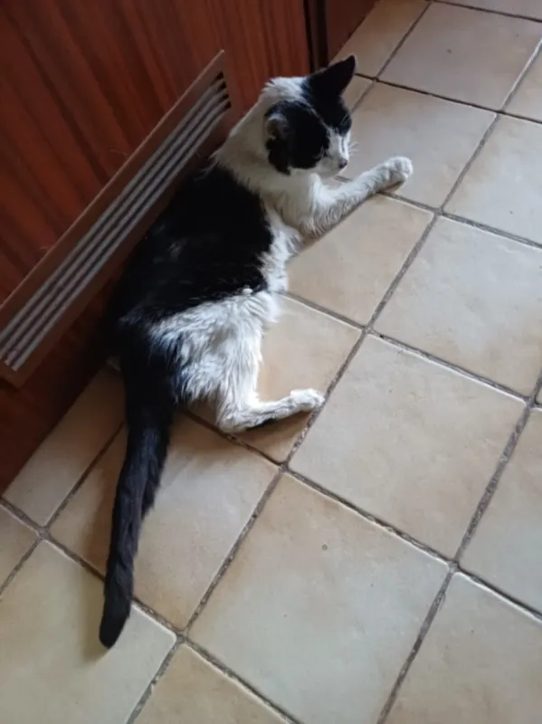 Micky, Olching
