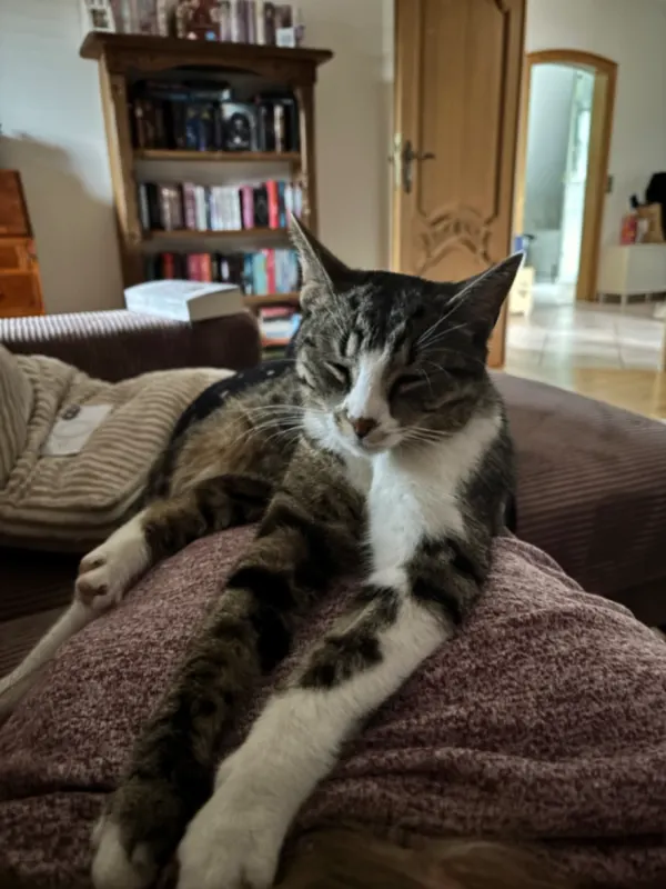 Twyla, Niederkrüchten