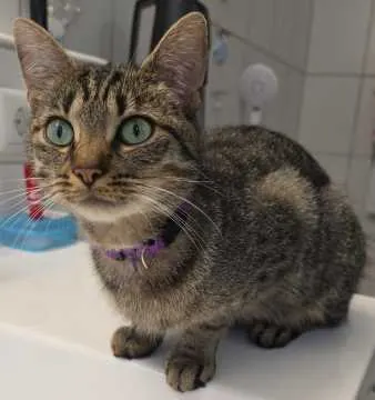 Molly, Bad Driburg