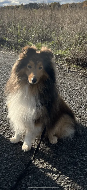 Sammy, Neuenhagen