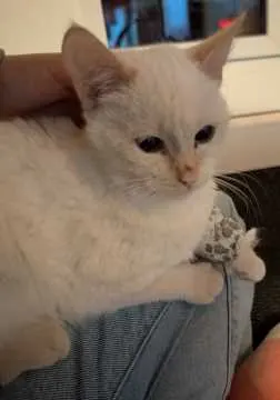 Mimi, Nordenham