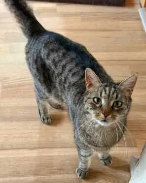 Maxi, Berlin