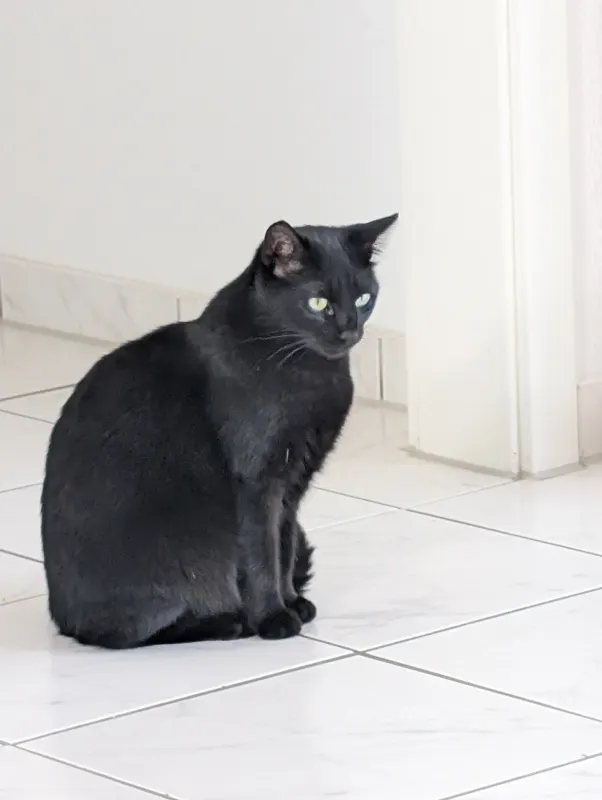 Nala, Bad Rappenau