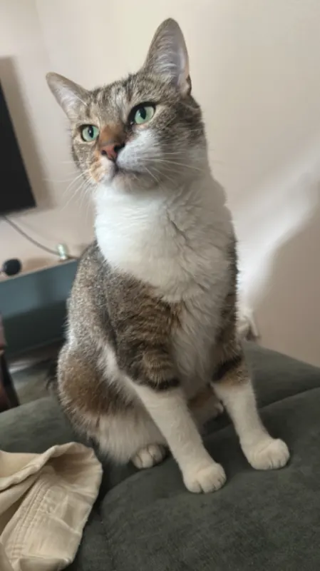Morty, Püttlingen