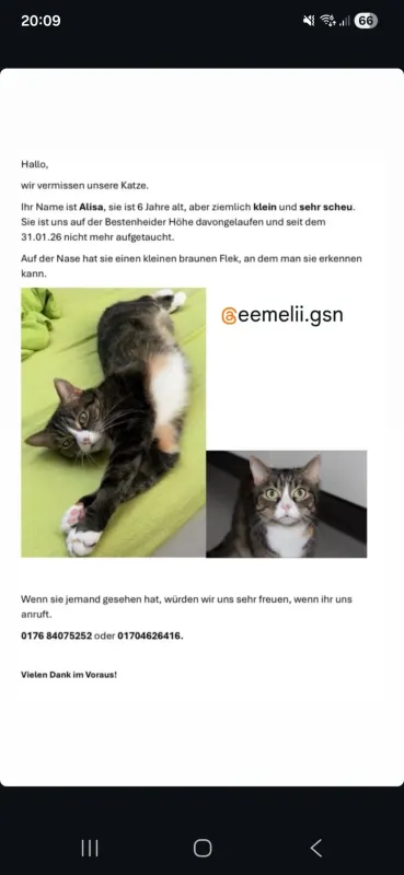 Alisa, Wertheim