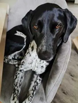 Lucy, Saerbeck