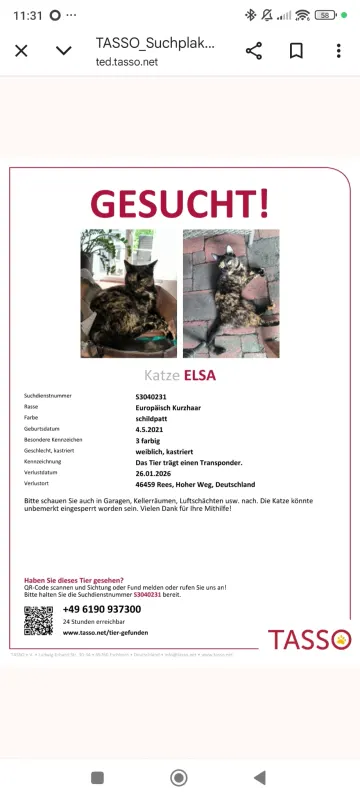 Elsa, Rees