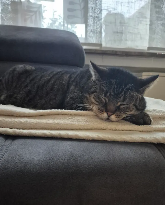Mio, Bad Honnef