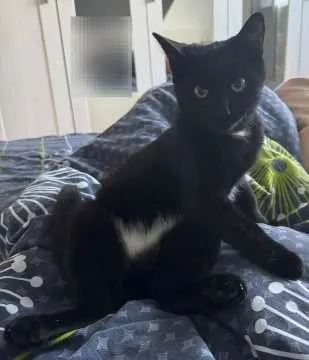 Luna, Oschatz
