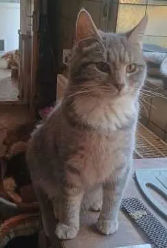 Tobi, Kitzingen