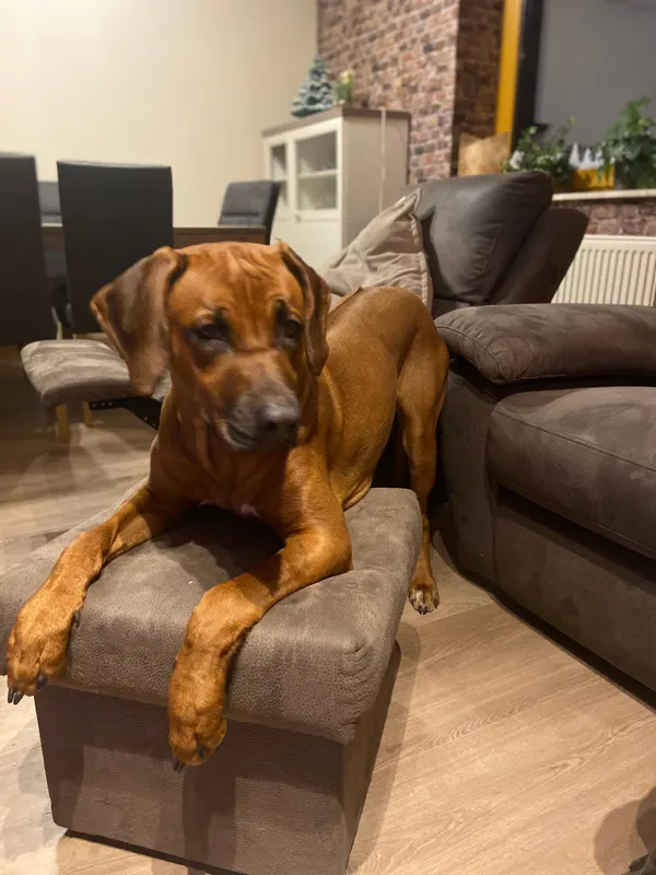 Emma, Delmenhorst