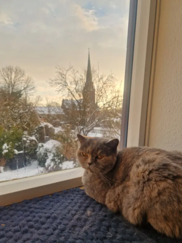 Nala, Wilhelmshaven