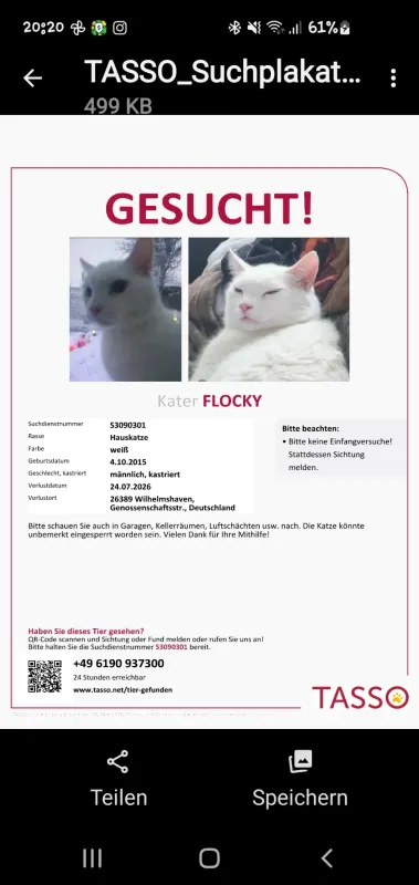 Flocky, Wilhelmshaven