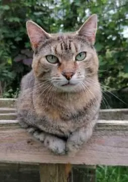Nelly, Holzminden