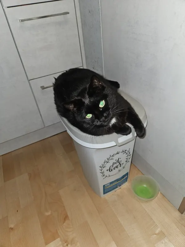 Lilli/Klößchen, Gonsenheim
