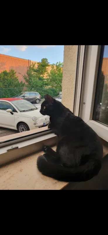 Bubbi, Gonsenheim