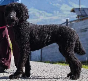 Lotti, Lenggries