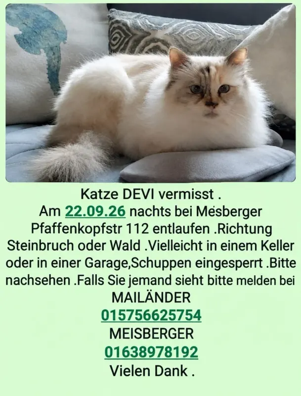 Devi,Heilige Birma, Sulzbach