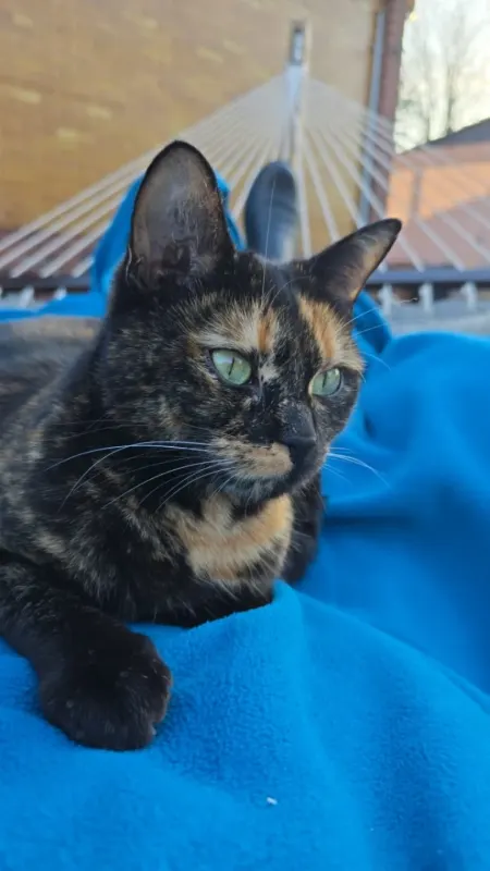 Coco, Flörsheim