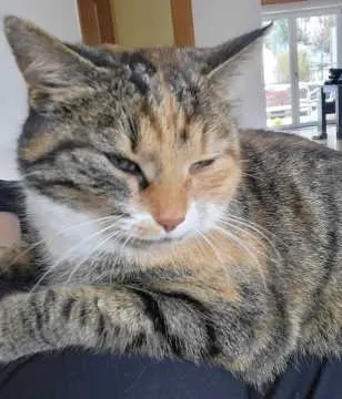Bub, Kulmbach