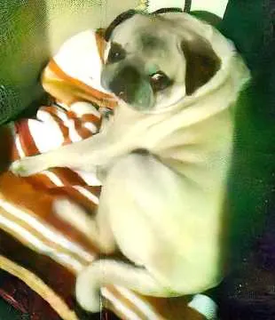 Frieda, Bad Dürkheim