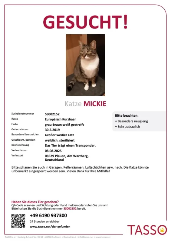 Mickie, Plauen