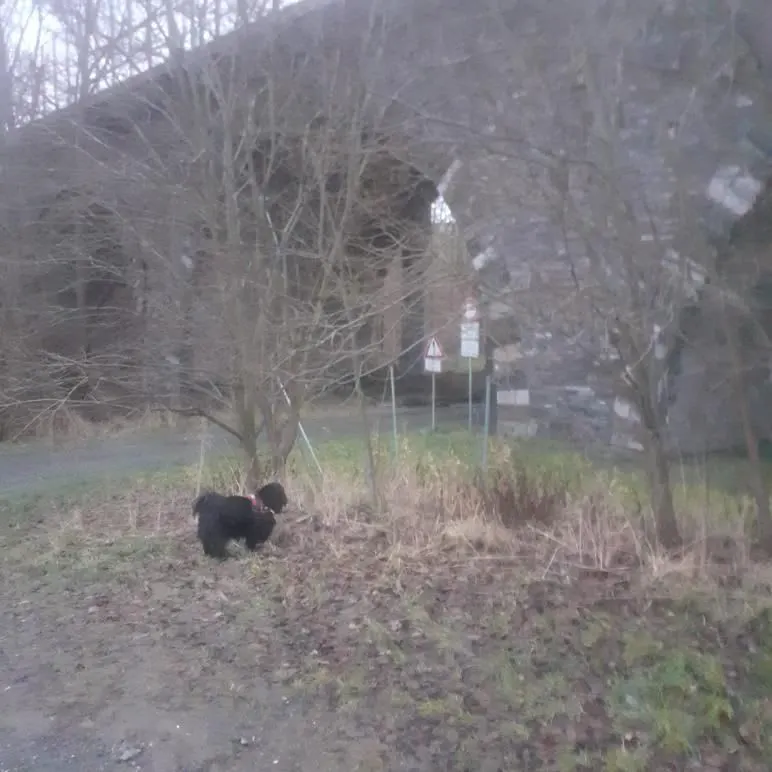 Berry, Plauen