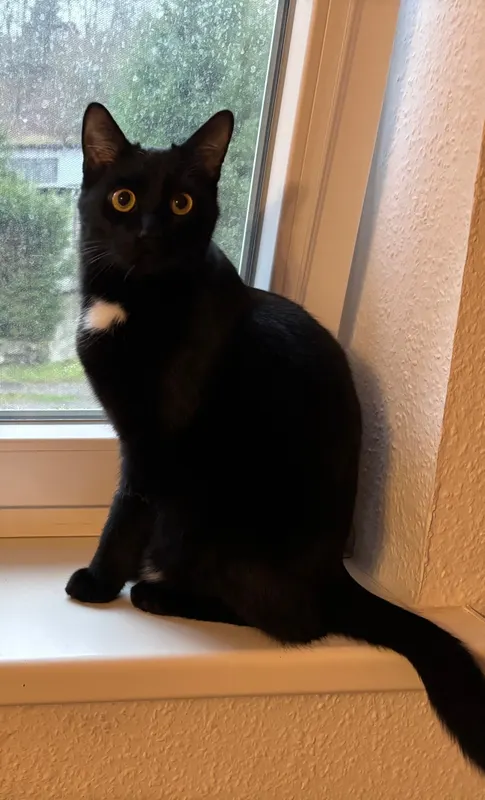 Max, Suhl
