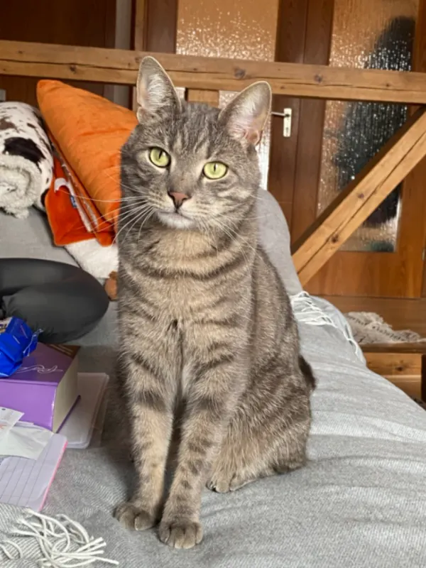 Bilbo, Horb am Neckar
