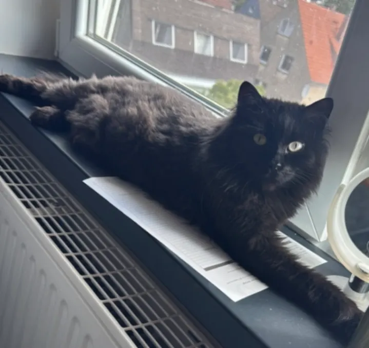 Chika, Minden