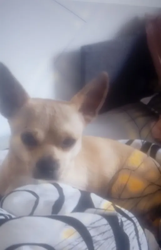 Carlos, Schwelm