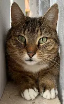 Kitty, Nordenham