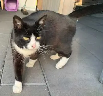 Wilma L, Ascheberg