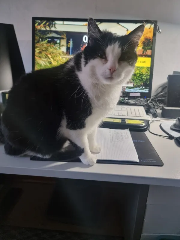 Monty, Schwäbisch Hall