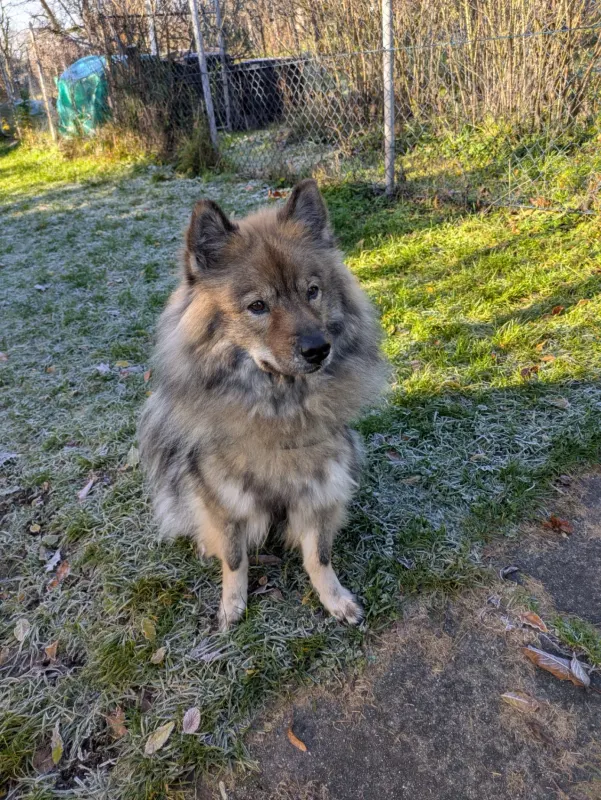 Akila, Schwäbisch Gmünd