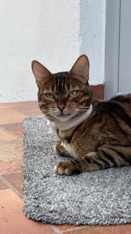 Lani, Erding