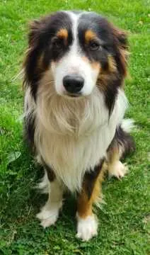 Loui, Raddestorf