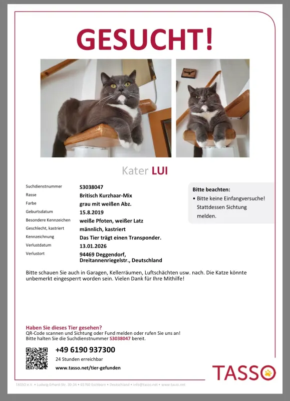 Lui, Deggendorf