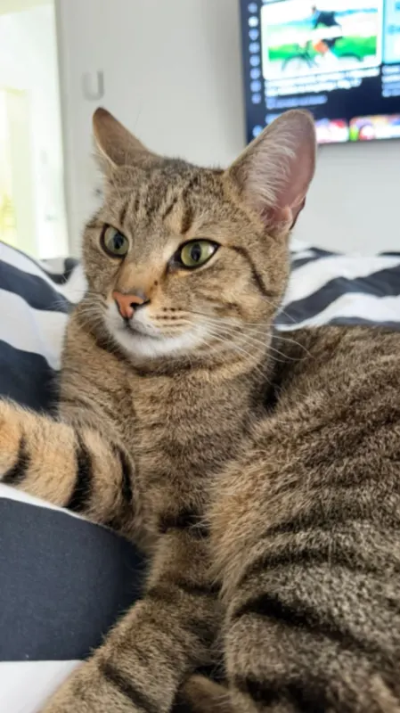 Jojo, Rostock