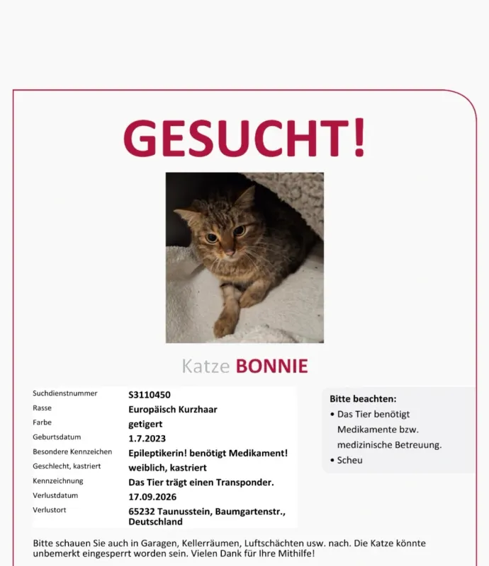 Bonni, Taunusstein