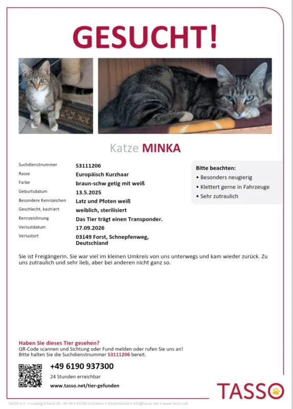 Minka, Forst